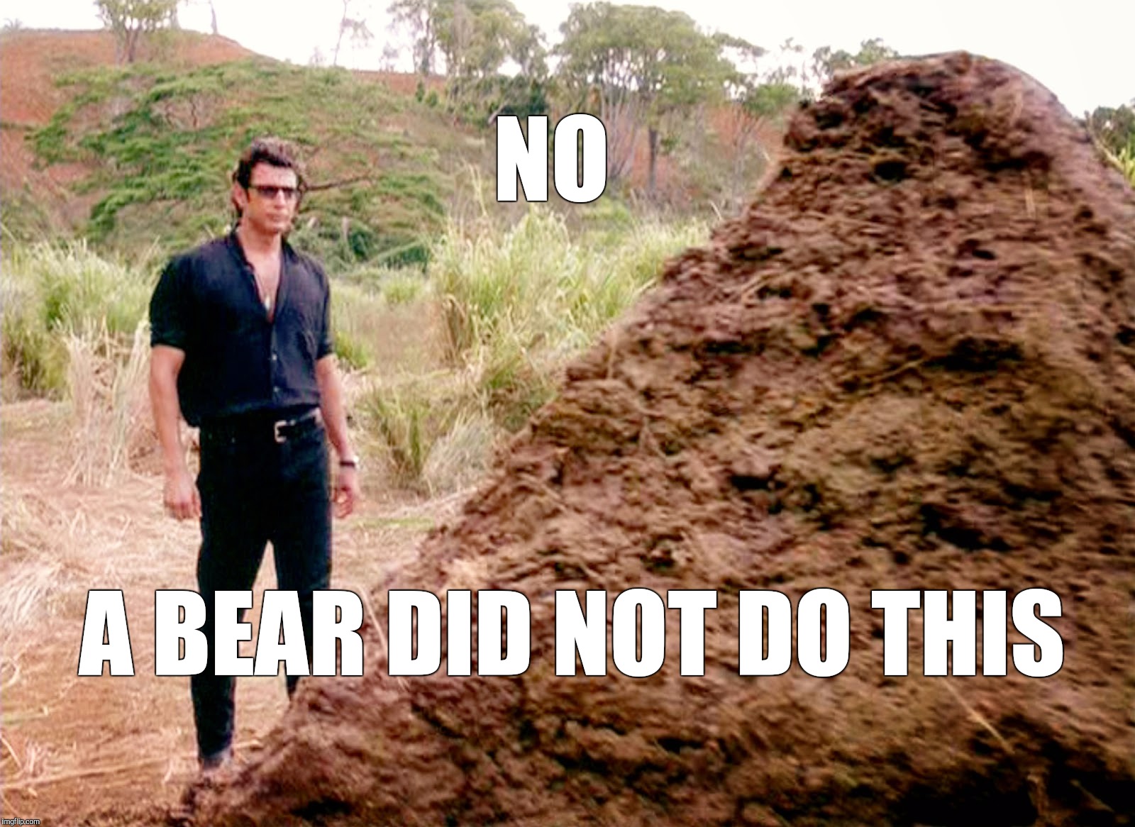 Do You Ever Wonder What This SOUNDED Like ? | NO; A BEAR DID NOT DO THIS | image tagged in memes poop jurassic park | made w/ Imgflip meme maker