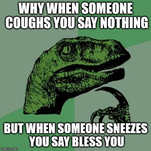 Philosoraptor Meme | WHY WHEN SOMEONE COUGHS YOU SAY NOTHING; BUT WHEN SOMEONE SNEEZES YOU SAY BLESS YOU | image tagged in memes,philosoraptor | made w/ Imgflip meme maker