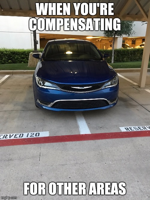 Yet another example of a-hole parking  | WHEN YOU'RE COMPENSATING; FOR OTHER AREAS | image tagged in memes | made w/ Imgflip meme maker