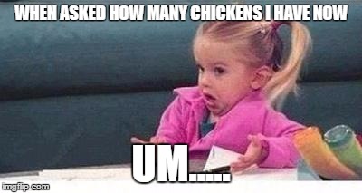 Shrugging kid | WHEN ASKED HOW MANY CHICKENS I HAVE NOW; UM..... | image tagged in shrugging kid | made w/ Imgflip meme maker