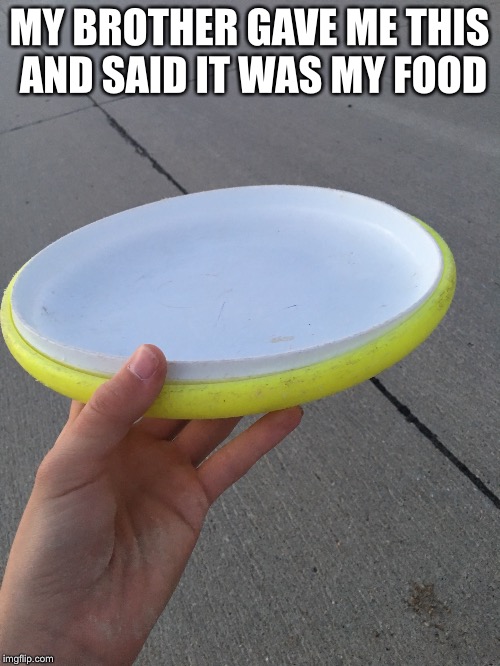 Frisbee Plate  | MY BROTHER GAVE ME THIS AND SAID IT WAS MY FOOD | image tagged in frisbee,food | made w/ Imgflip meme maker
