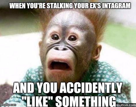 Curse these man thumbs of mine. | WHEN YOU'RE STALKING YOUR EX'S INTAGRAM; AND YOU ACCIDENTLY "LIKE" SOMETHING | image tagged in oh shit monkey | made w/ Imgflip meme maker