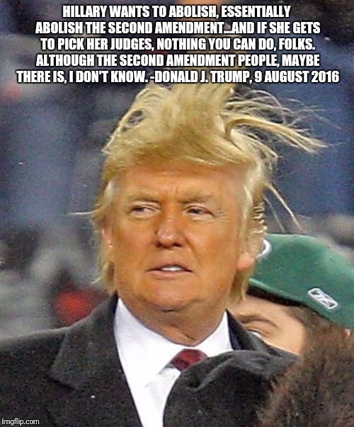 Guns | HILLARY WANTS TO ABOLISH, ESSENTIALLY ABOLISH THE SECOND AMENDMENT...AND IF SHE GETS TO PICK HER JUDGES, NOTHING YOU CAN DO, FOLKS. ALTHOUGH THE SECOND AMENDMENT PEOPLE, MAYBE THERE IS, I DON'T KNOW.
-DONALD J. TRUMP, 9 AUGUST 2016 | image tagged in donald trumph hair,guns,2nd amendment,donald trump,trump | made w/ Imgflip meme maker