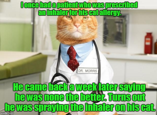 True story from a doctor friend.  | I once had a patient who was prescribed an inhaler for his cat allergy. He came back a week later saying he was none the better. Turns out he was spraying the inhaler on his cat. | image tagged in cat doctor | made w/ Imgflip meme maker
