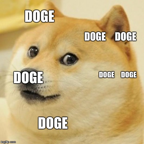 Doge | DOGE; DOGE     DOGE; DOGE     DOGE; DOGE; DOGE | image tagged in memes,doge | made w/ Imgflip meme maker