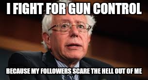 Maybe the left knows their people better than we think. | I FIGHT FOR GUN CONTROL; BECAUSE MY FOLLOWERS SCARE THE HELL OUT OF ME | image tagged in bernie sanders,run bernie run,memes | made w/ Imgflip meme maker