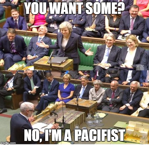 YOU WANT SOME? NO, I'M A PACIFIST | image tagged in tory scum | made w/ Imgflip meme maker