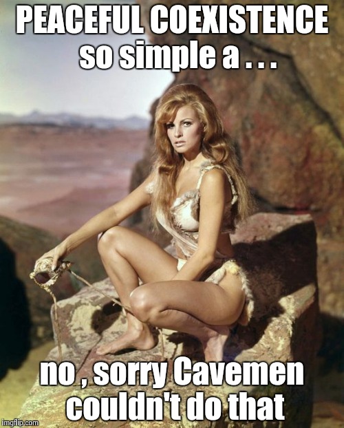 That's OK , we still haven't figured it out yet | PEACEFUL COEXISTENCE 
so simple a . . . no , sorry Cavemen couldn't do that | image tagged in raquel welch,caveman,give peace a chance | made w/ Imgflip meme maker