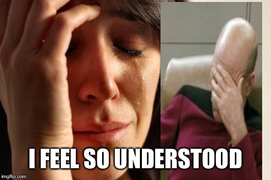First World Problems | I FEEL SO UNDERSTOOD | image tagged in memes,first world problems | made w/ Imgflip meme maker