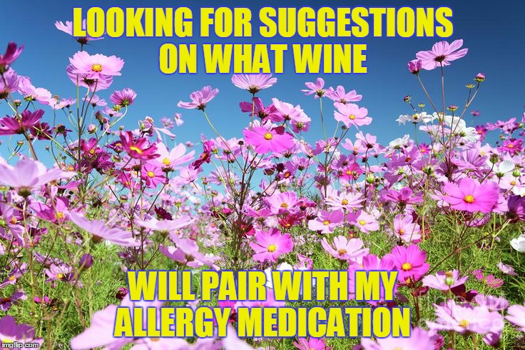 flowers | LOOKING FOR SUGGESTIONS ON WHAT WINE; WILL PAIR WITH MY ALLERGY MEDICATION | image tagged in flowers | made w/ Imgflip meme maker