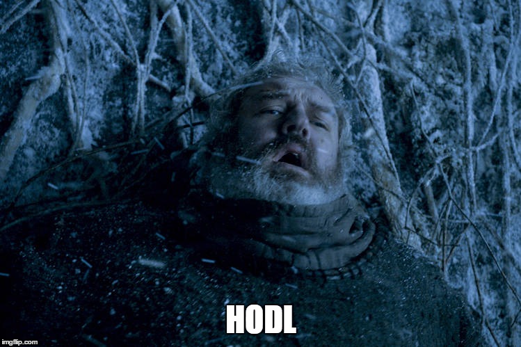 Hodor | HODL | image tagged in hodor | made w/ Imgflip meme maker
