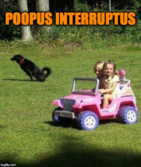 Goood Morning World!!!! | POOPUS INTERRUPTUS | image tagged in daily constitutional | made w/ Imgflip meme maker