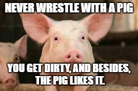 pig | NEVER WRESTLE WITH A PIG; YOU GET DIRTY, AND BESIDES, THE PIG LIKES IT. | image tagged in pig | made w/ Imgflip meme maker