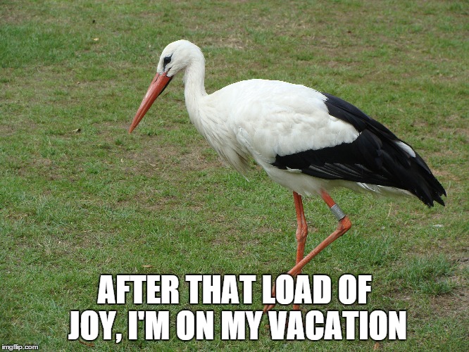 AFTER THAT LOAD OF JOY, I'M ON MY VACATION | made w/ Imgflip meme maker