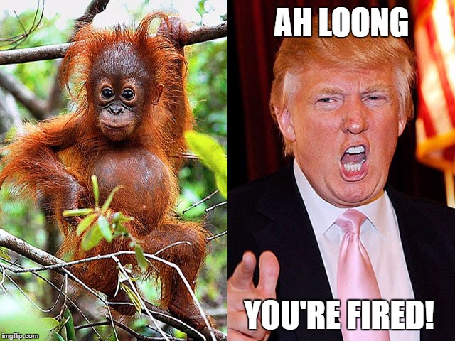 AH LOONG; YOU'RE FIRED! | made w/ Imgflip meme maker