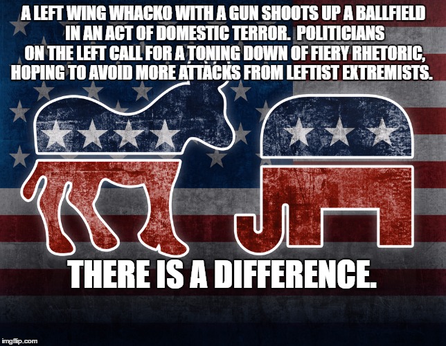 Elephant and Donkey | A LEFT WING WHACKO WITH A GUN SHOOTS UP A BALLFIELD IN AN ACT OF DOMESTIC TERROR.  POLITICIANS ON THE LEFT CALL FOR A TONING DOWN OF FIERY RHETORIC, HOPING TO AVOID MORE ATTACKS FROM LEFTIST EXTREMISTS. THERE IS A DIFFERENCE. | image tagged in elephant and donkey | made w/ Imgflip meme maker