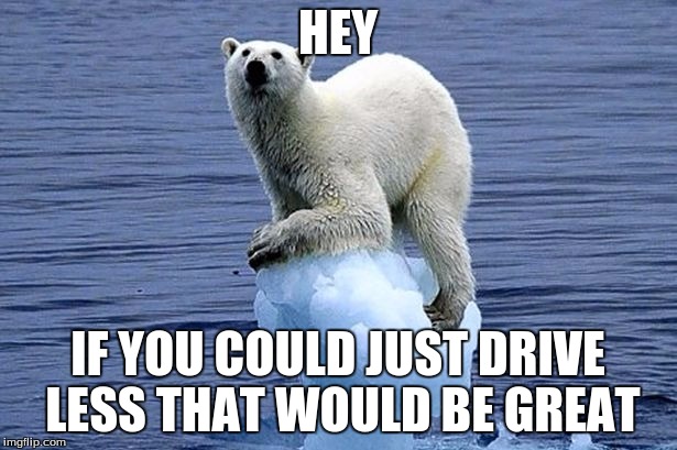 Polar bear climate change | HEY; IF YOU COULD JUST DRIVE LESS THAT WOULD BE GREAT | image tagged in polar bear climate change | made w/ Imgflip meme maker