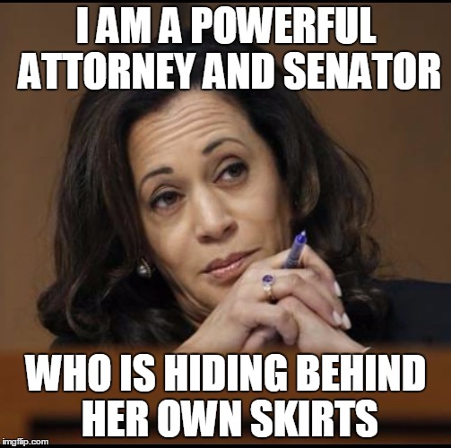 Kamala Harris  | I AM A POWERFUL ATTORNEY AND SENATOR; WHO IS HIDING BEHIND HER OWN SKIRTS | image tagged in kamala harris | made w/ Imgflip meme maker