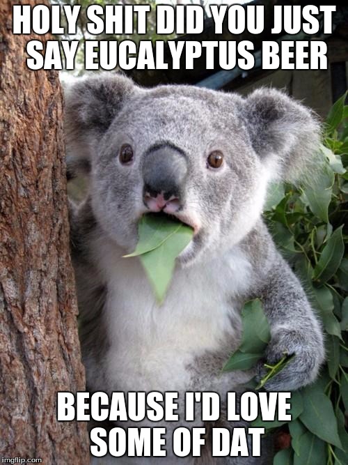 Surprised Koala | HOLY SHIT DID YOU JUST SAY EUCALYPTUS BEER; BECAUSE I'D LOVE SOME OF DAT | image tagged in memes,surprised koala | made w/ Imgflip meme maker