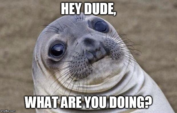 Awkward Moment Sealion | HEY DUDE, WHAT ARE YOU DOING? | image tagged in memes,awkward moment sealion | made w/ Imgflip meme maker