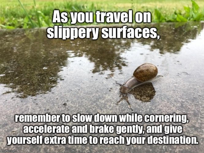 Take it easy out there | As you travel on slippery surfaces, remember to slow down while cornering, accelerate and brake gently, and give yourself extra time to reach your destination. | image tagged in humor,snail,driving,rain | made w/ Imgflip meme maker