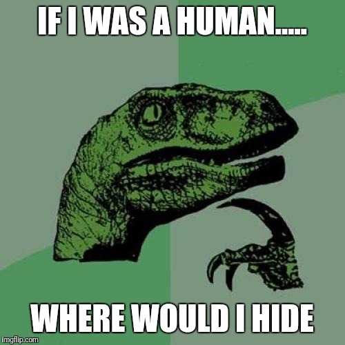 Philosoraptor | IF I WAS A HUMAN..... WHERE WOULD I HIDE | image tagged in memes,philosoraptor | made w/ Imgflip meme maker