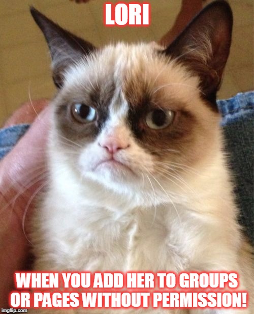 Grumpy Cat Meme | LORI; WHEN YOU ADD HER TO GROUPS OR PAGES WITHOUT PERMISSION! | image tagged in memes,grumpy cat | made w/ Imgflip meme maker