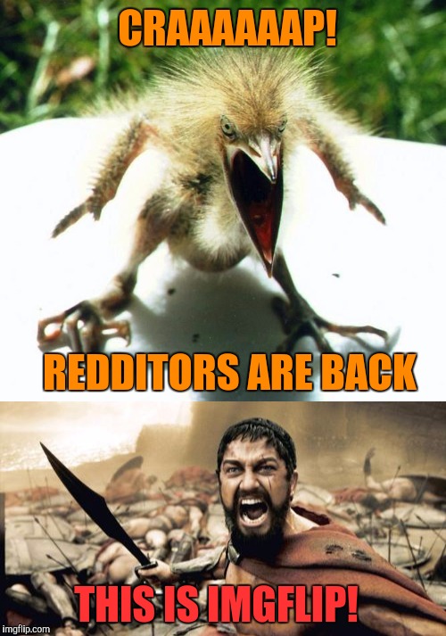 CRAAAAAAP! REDDITORS ARE BACK THIS IS IMGFLIP! | made w/ Imgflip meme maker