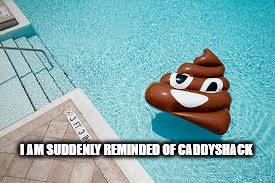 Turd  | I AM SUDDENLY REMINDED OF CADDYSHACK | image tagged in put it somewhere else patrick,so i got that goin for me which is nice | made w/ Imgflip meme maker