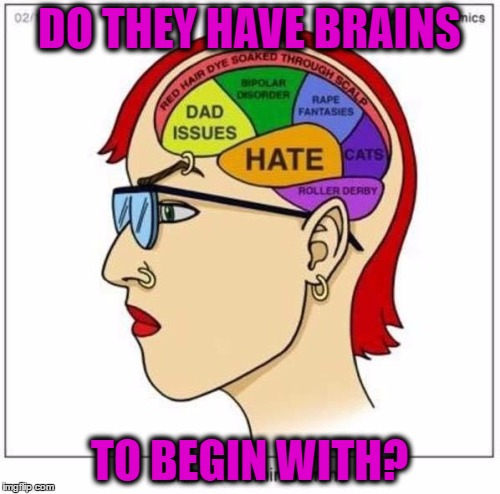DO THEY HAVE BRAINS TO BEGIN WITH? | made w/ Imgflip meme maker