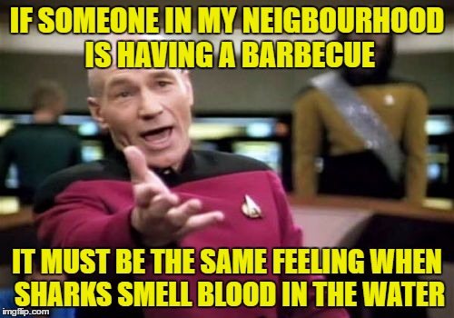 It's BBQ time ... can't you smell it? | IF SOMEONE IN MY NEIGBOURHOOD IS HAVING A BARBECUE; IT MUST BE THE SAME FEELING WHEN SHARKS SMELL BLOOD IN THE WATER | image tagged in memes,picard wtf,funny,bbq,mmmmmh meat | made w/ Imgflip meme maker