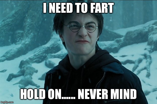 harry potter farts | I NEED TO FART; HOLD ON...... NEVER MIND | image tagged in harry potter farts | made w/ Imgflip meme maker