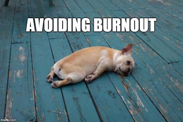 Tired dog | AVOIDING BURNOUT | image tagged in tired dog | made w/ Imgflip meme maker