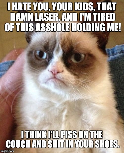 Grumpy Cat | I HATE YOU, YOUR KIDS, THAT DAMN LASER, AND I'M TIRED OF THIS ASSHOLE HOLDING ME! I THINK I'LL PISS ON THE COUCH AND SHIT IN YOUR SHOES. | image tagged in memes,grumpy cat | made w/ Imgflip meme maker