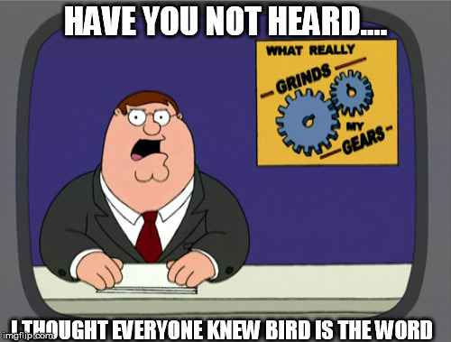 Peter Griffin News | HAVE YOU NOT HEARD.... I THOUGHT EVERYONE KNEW BIRD IS THE WORD | image tagged in memes,peter griffin news | made w/ Imgflip meme maker