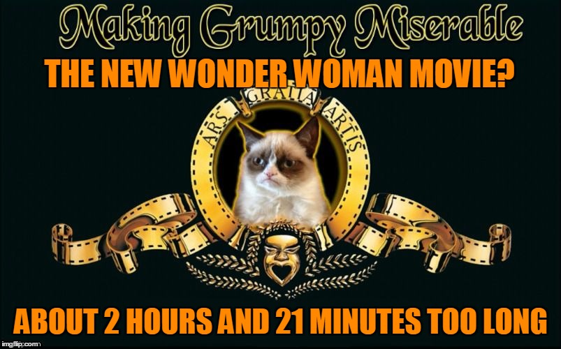 THE NEW WONDER WOMAN MOVIE? ABOUT 2 HOURS AND 21 MINUTES TOO LONG | made w/ Imgflip meme maker