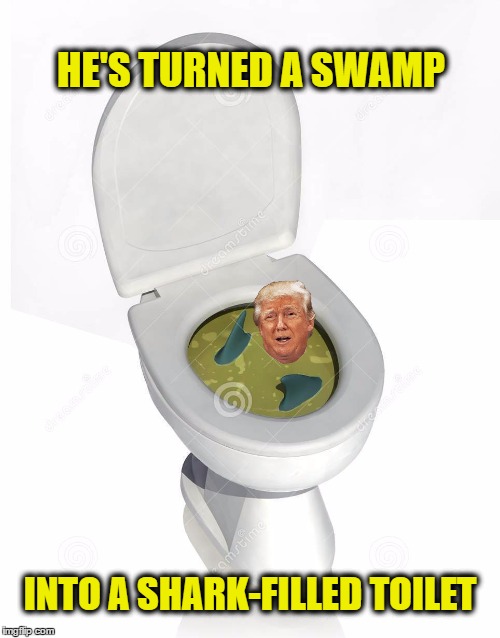 Drained the Swamp, but ... | HE'S TURNED A SWAMP; INTO A SHARK-FILLED TOILET | image tagged in trump,swamp | made w/ Imgflip meme maker