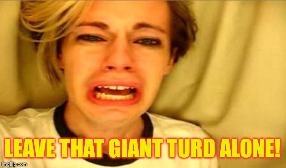 LEAVE THAT GIANT TURD ALONE! | made w/ Imgflip meme maker