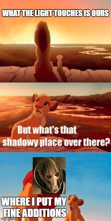 Simba Shadowy Place Meme | WHAT THE LIGHT TOUCHES IS OURS; WHERE I PUT MY FINE ADDITIONS | image tagged in memes,simba shadowy place | made w/ Imgflip meme maker