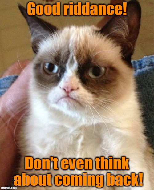 Grumpy Cat Meme | Good riddance! Don't even think about coming back! | image tagged in memes,grumpy cat | made w/ Imgflip meme maker