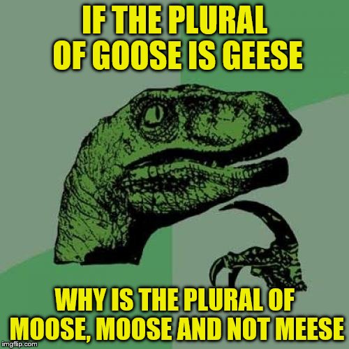 Philosoraptor | IF THE PLURAL OF GOOSE IS GEESE; WHY IS THE PLURAL OF MOOSE, MOOSE AND NOT MEESE | image tagged in memes,philosoraptor | made w/ Imgflip meme maker