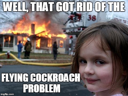 Disaster Girl Meme | WELL, THAT GOT RID OF THE FLYING COCKROACH PROBLEM | image tagged in memes,disaster girl | made w/ Imgflip meme maker