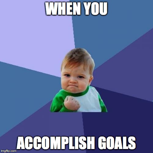 Success Kid Meme | WHEN YOU; ACCOMPLISH GOALS | image tagged in memes,success kid | made w/ Imgflip meme maker