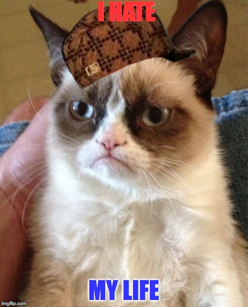 Grumpy Cat | I HATE; MY LIFE | image tagged in memes,grumpy cat,scumbag | made w/ Imgflip meme maker