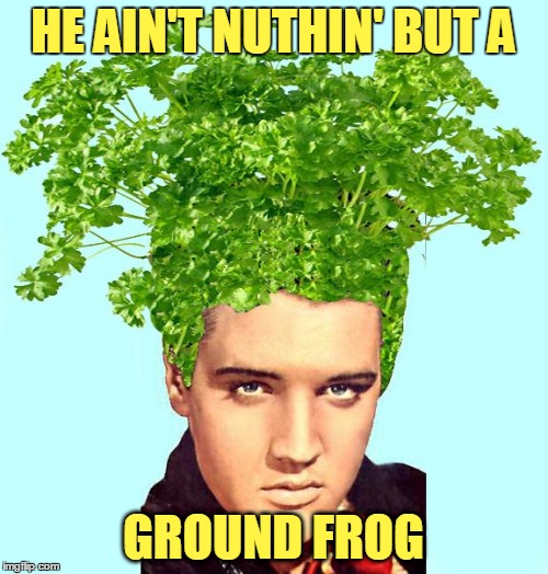 HE AIN'T NUTHIN' BUT A GROUND FROG | made w/ Imgflip meme maker