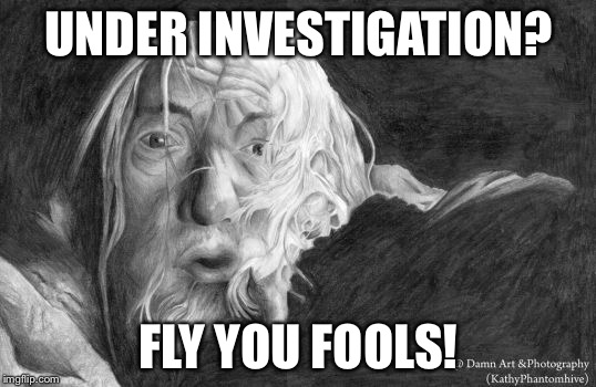UNDER INVESTIGATION? FLY YOU FOOLS! | image tagged in fly | made w/ Imgflip meme maker