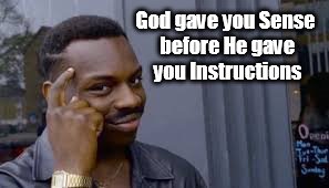 Roll Safe Think About It Meme | God gave you Sense before He gave you Instructions | image tagged in black man thinking,god,common sense | made w/ Imgflip meme maker