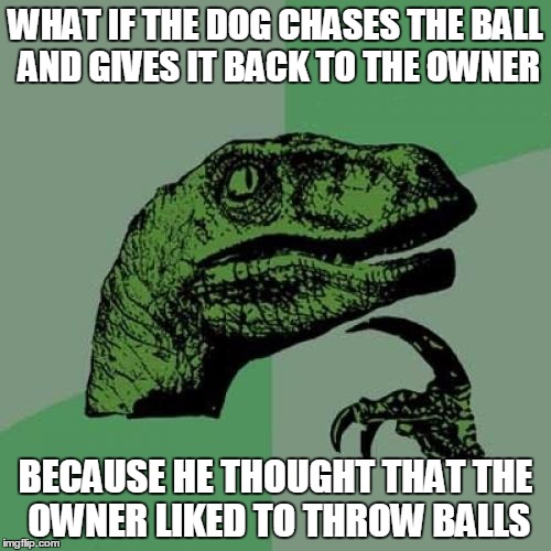 opens up a whole new possibility  | WHAT IF THE DOG CHASES THE BALL AND GIVES IT BACK TO THE OWNER; BECAUSE HE THOUGHT THAT THE OWNER LIKED TO THROW BALLS | image tagged in memes,philosoraptor | made w/ Imgflip meme maker