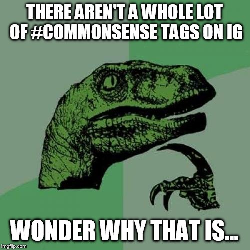 Philosoraptor | THERE AREN'T A WHOLE LOT OF #COMMONSENSE TAGS ON IG; WONDER WHY THAT IS... | image tagged in memes,philosoraptor,commonsense | made w/ Imgflip meme maker