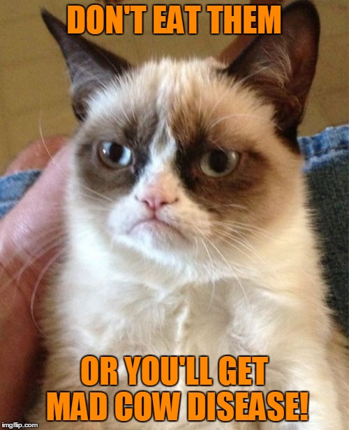 Grumpy Cat Meme | DON'T EAT THEM OR YOU'LL GET MAD COW DISEASE! | image tagged in memes,grumpy cat | made w/ Imgflip meme maker